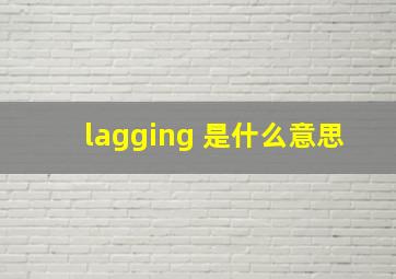 lagging 是什么意思